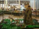 2010legoworld128.jpg