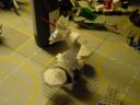 dsc00598.jpg