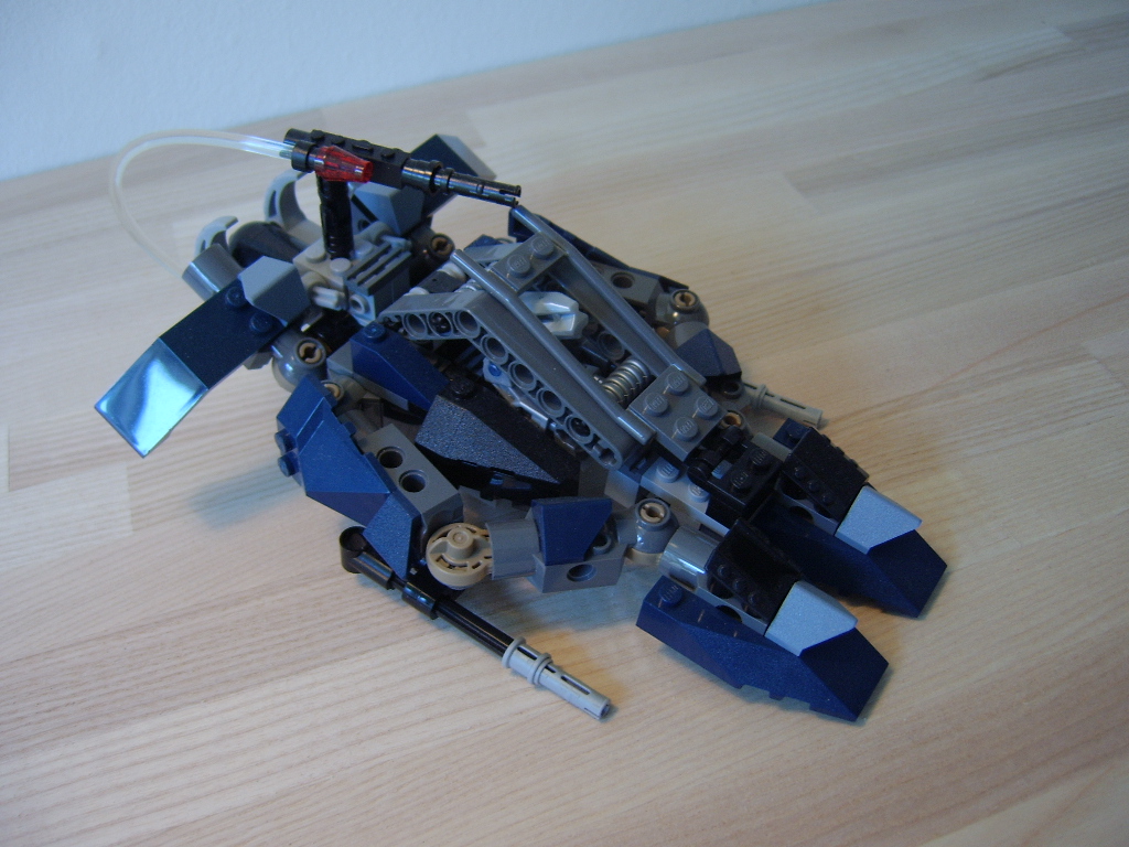 hawk001.jpg
