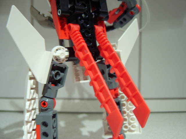 tail.jpg