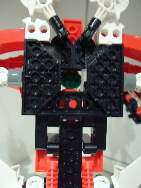 torso_rear.jpg