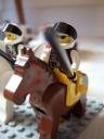 horse3.jpg