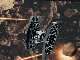 3219.gif