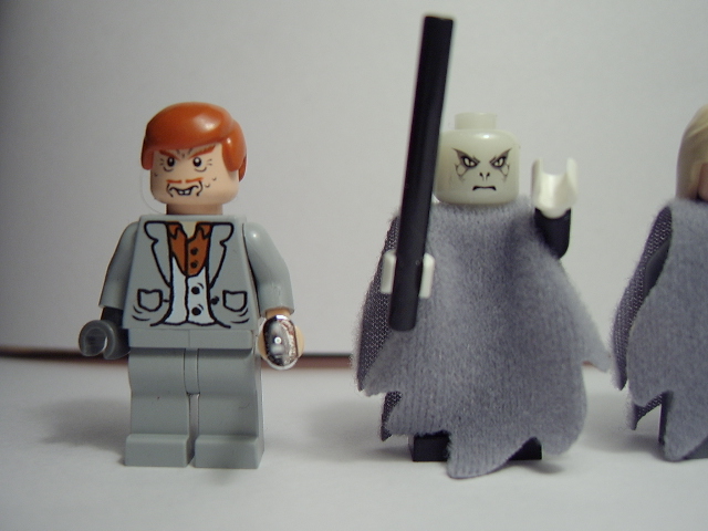 4766figs3.jpg