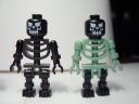 4766figs1.jpg