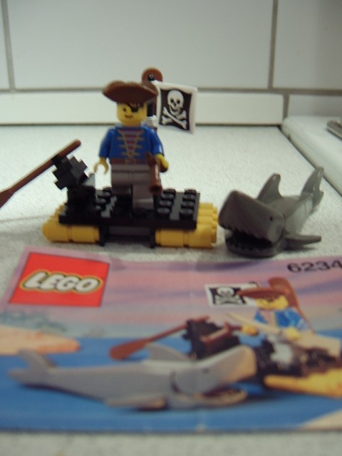 6234a.jpg