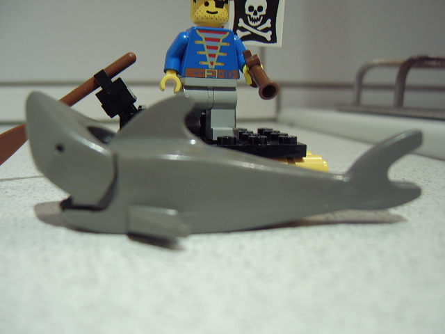 6234d.jpg