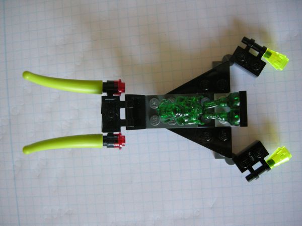 5617003.jpg