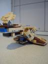 aat007.jpg
