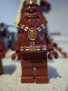 wookie_warrior.jpg