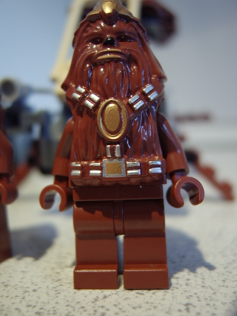 wookie_warrior.jpg