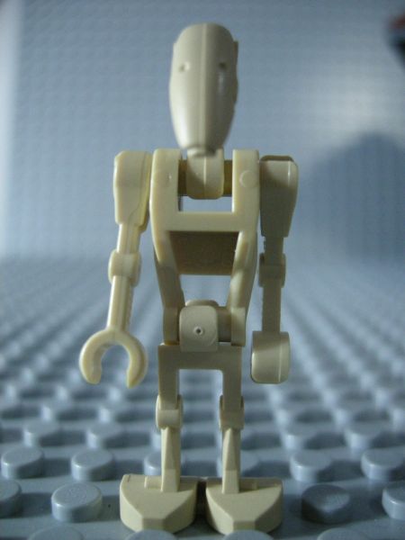 mtt20.jpg