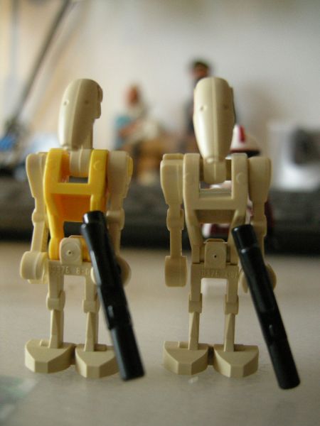 hmsd011.jpg