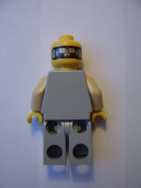 lobot_rear.jpg