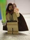 qui_gon_jinn_flesh.jpg