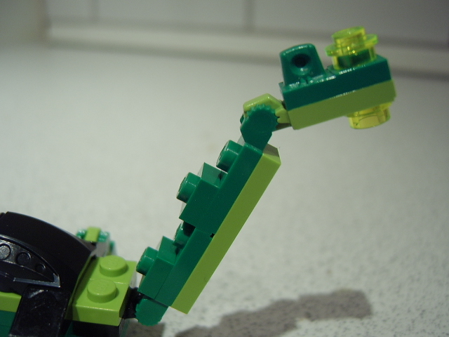 tail.jpg