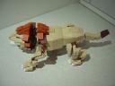 lion009.jpg