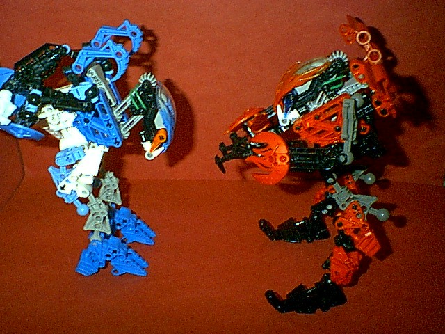 r01.jpg