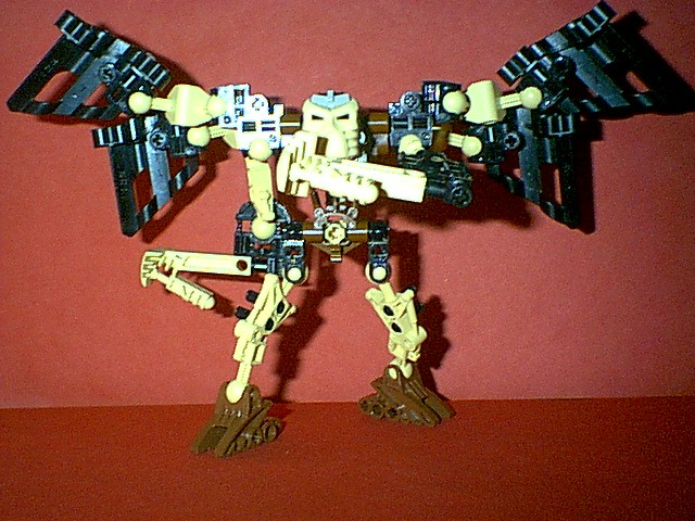 tenmaaroha_stance.jpg