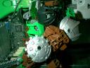 dreadpirates_sloth_06.jpg