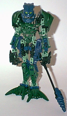 lichen_01.jpg