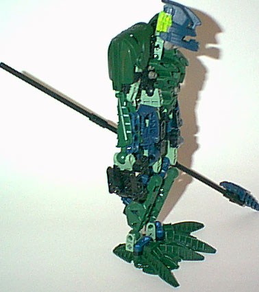 lichen_02.jpg