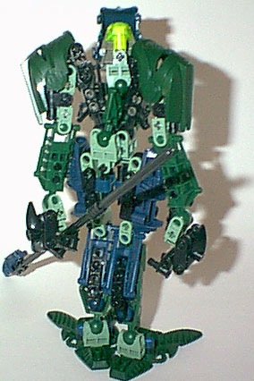 lichen_03.jpg
