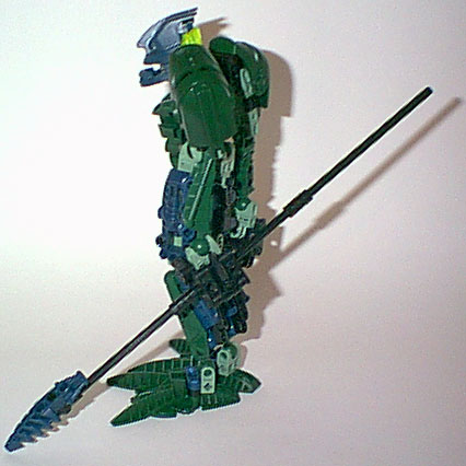 lichen_04.jpg