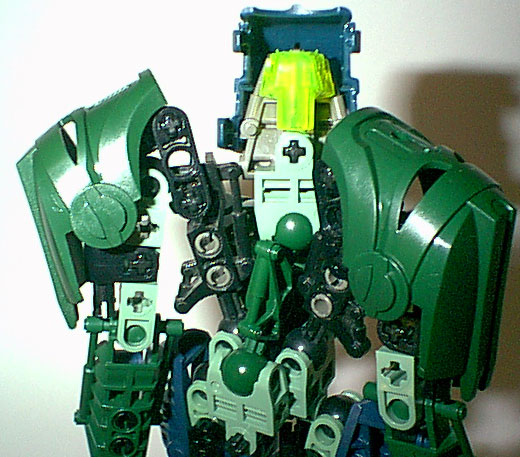 lichen_08.jpg