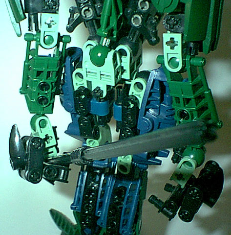lichen_09.jpg