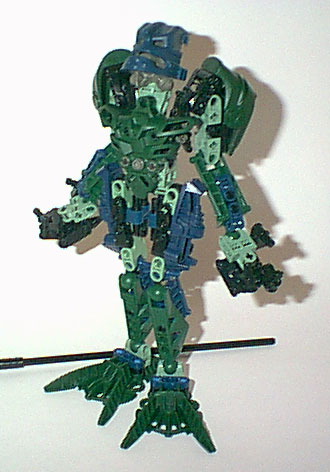lichen_12.jpg