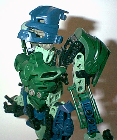 lichen_13.jpg