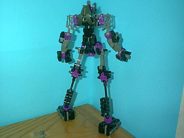 cm05skeleton_02.jpg
