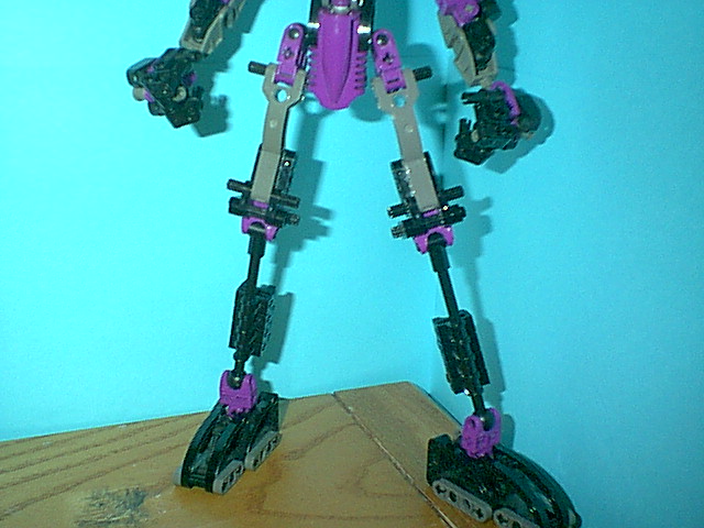 cm05skeleton_04.jpg