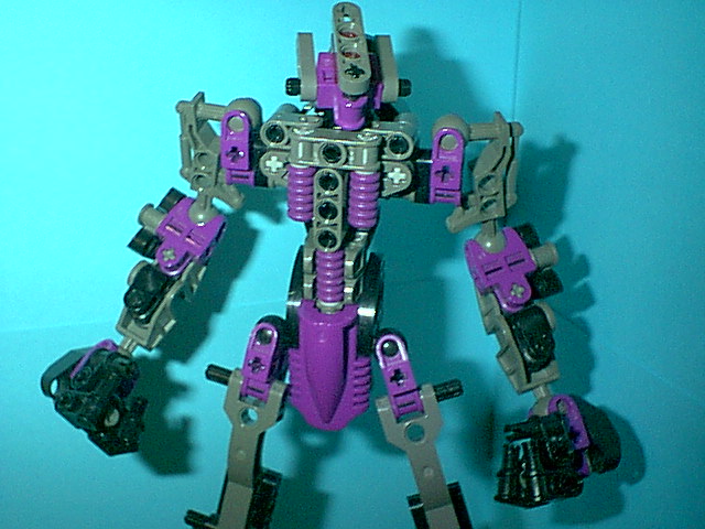 cm05skeleton_05.jpg
