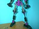 cm05skeleton_04.jpg
