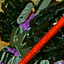 cm05av64bm.gif