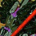 cm05av64bm.gif