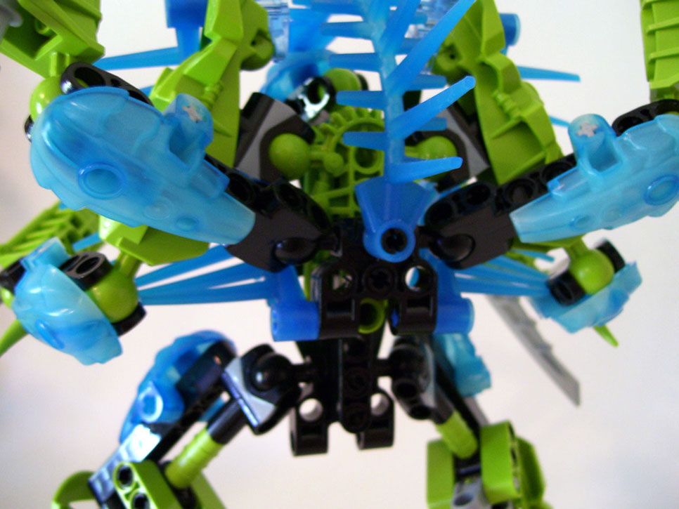 cicada_06.jpg