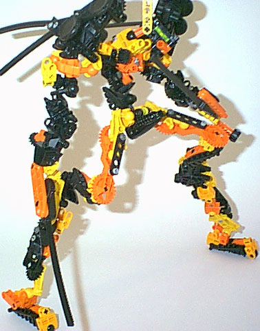 pm-dog_01.jpg