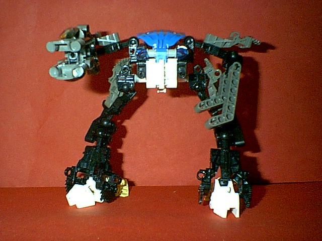 xmu11.jpg