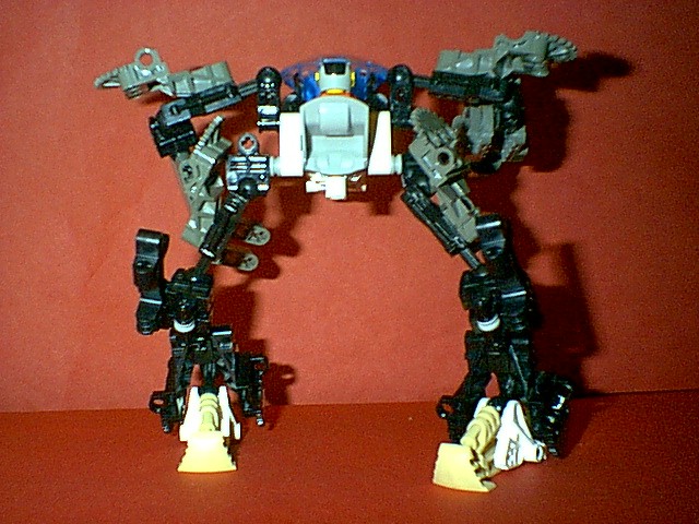 xmu1103.jpg