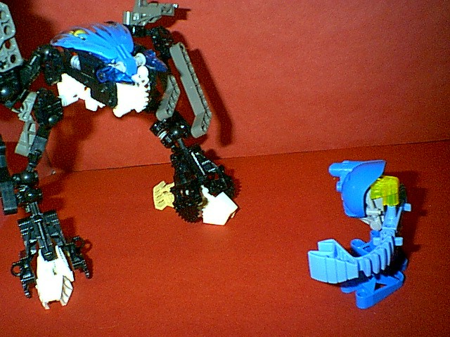 xmu1107.jpg