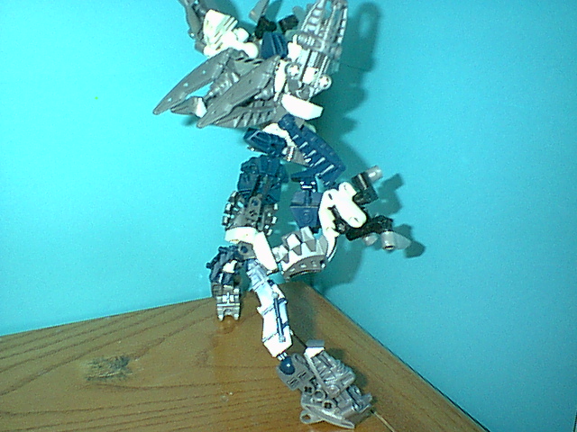 paradin-s_02.jpg