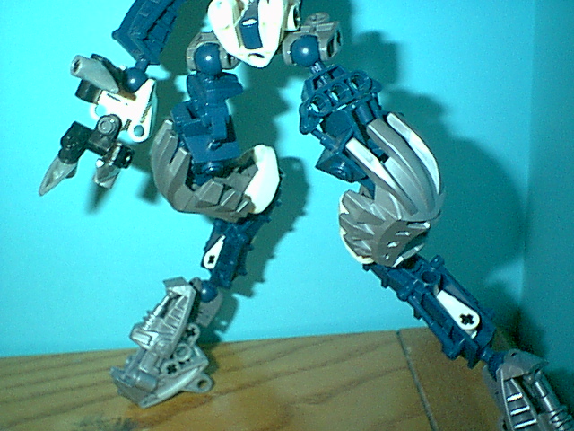 paradin-s_06.jpg
