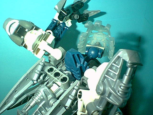 paradin-s_08.jpg