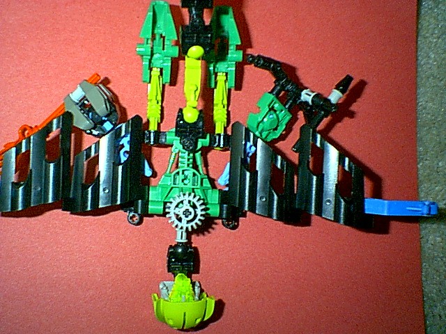 rangiflytop.jpg