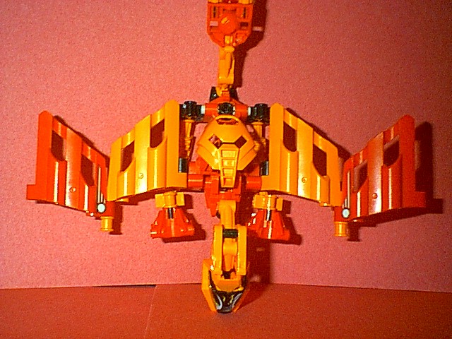 wera_fly.jpg
