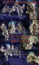 wolframaraneae_bbc40.jpg