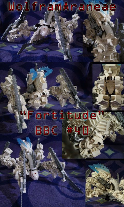 wolframaraneae_bbc40.jpg